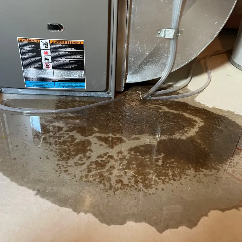 Appliance Leak Cleanup in Pemberwick, CT